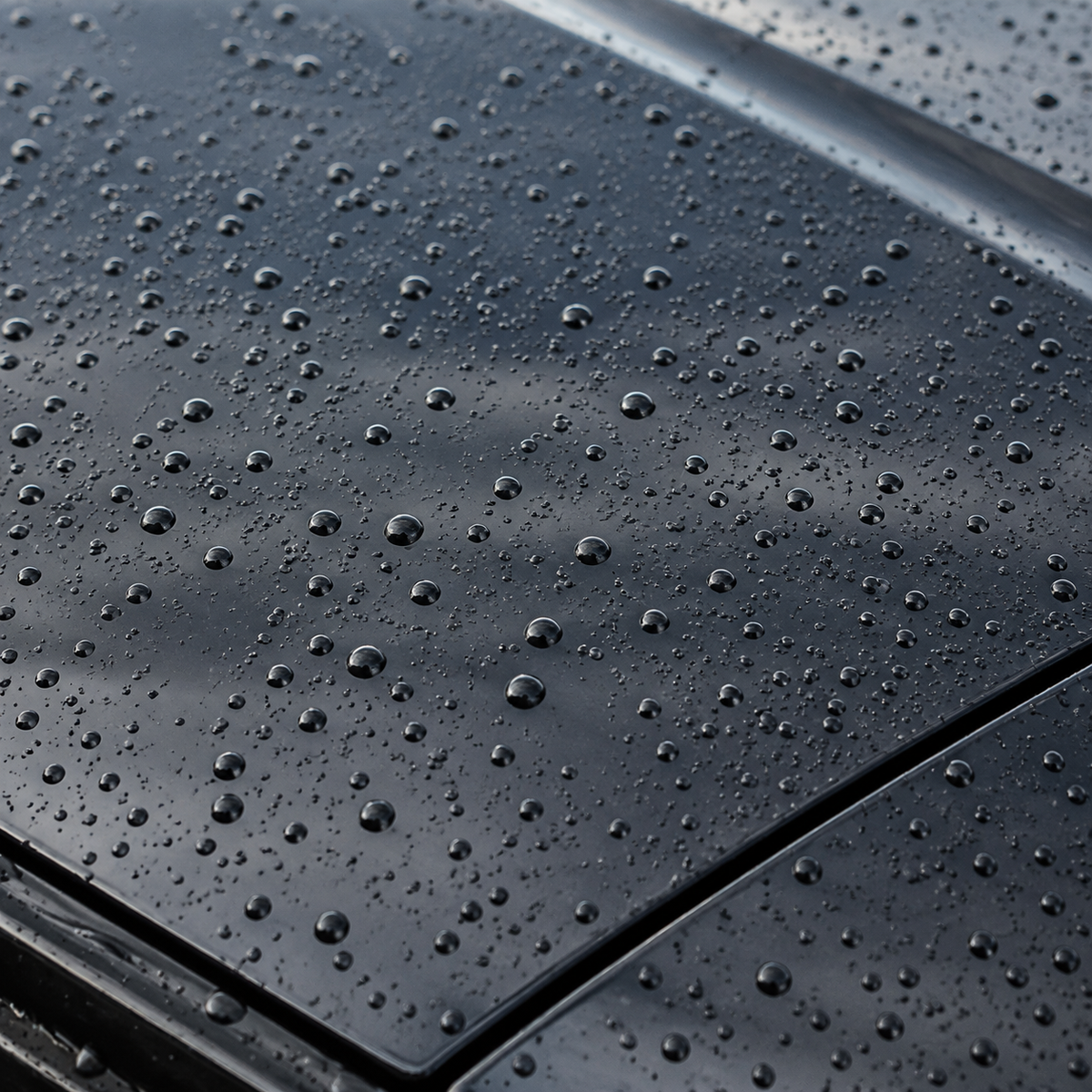 Water beads on a clean exterior paint panel